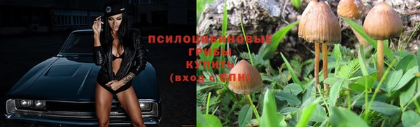a pvp Беломорск