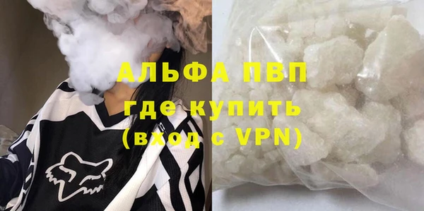 прущий лед Богданович