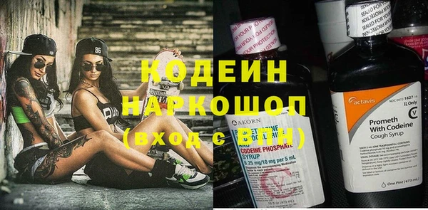 прущий лед Богданович
