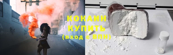 прущий лед Богданович
