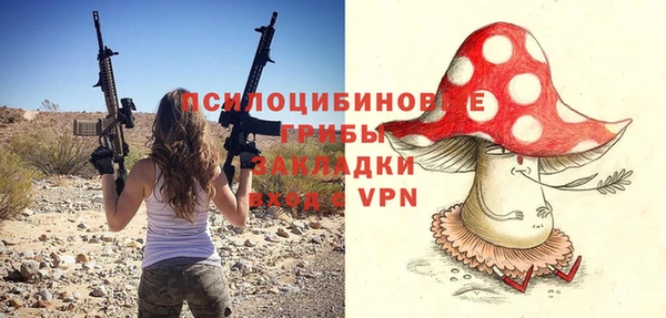 mix Богородск