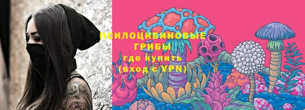 спиды Белокуриха